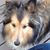 Deb Miles's profile image