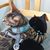 Waleed Kourbeh's profile image