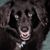 Kathleen Mackey's profile image