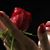 Lucita Restrepo's profile image