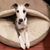 Maru Poff's profile image