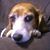 Cheryl Eller's profile image