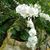 John Paul Stoddard's profile image