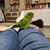 Janet Nahoom Foy's profile image