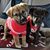 Nancy Radtke's profile image
