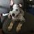 Heather Miller's profile image