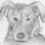 Amy Davis's profile image