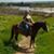 Janet Wright's profile image