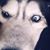 Katherine Ruvalcaba's profile image