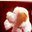 Mayee's profile image