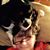 Deanna Dailey's profile image