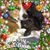 Tammy L Macfarland's profile image
