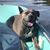 Samantha Feller Lossen's profile image