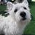 Terry Croom Oxendine's profile image