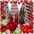 Amanda Carroll's profile image