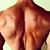 Michael D'Amato's profile image