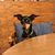 Chris Rohwer's profile image
