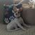 Michelle Sims Taylor's profile image
