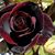 Susan Archer's profile image