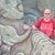 Debbie Rappise's profile image