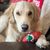 Kim Scullion's profile image