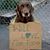 Dawn McKinley Williams's profile image