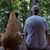 Alan Bulman's profile image