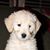 Sue Klobertanz's profile image