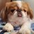 Sharon Dawson's profile image