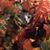 Karen George Smith's profile image