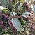 Yolanda Gervasi's profile image