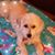 Fran Fontana's profile image