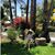 Sabrina Fernandez's profile image