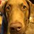 Brian Deiter's profile image