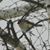Elisa Barnette Simmons's profile image