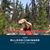 Michele Clembury's profile image