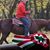 Tamas Sarffy's profile image