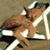 Marilyn Francis's profile image
