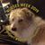 Carol Bennett Sharbel's profile image
