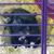 Tammy Kehoe's profile image