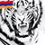 Arme Dukmejian's profile image