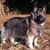 Debra Ryan's profile image