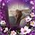 Tammy Jones's profile image