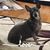 Deborah L Kilhafner's profile image