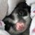 Jessica Specht's profile image