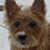 Francis Tamok's profile image