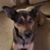 Janie Ostrander's profile image