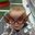 Christopher Karas's profile image