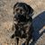 Shonna Barney Clark's profile image
