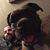 Brion Bromead's profile image